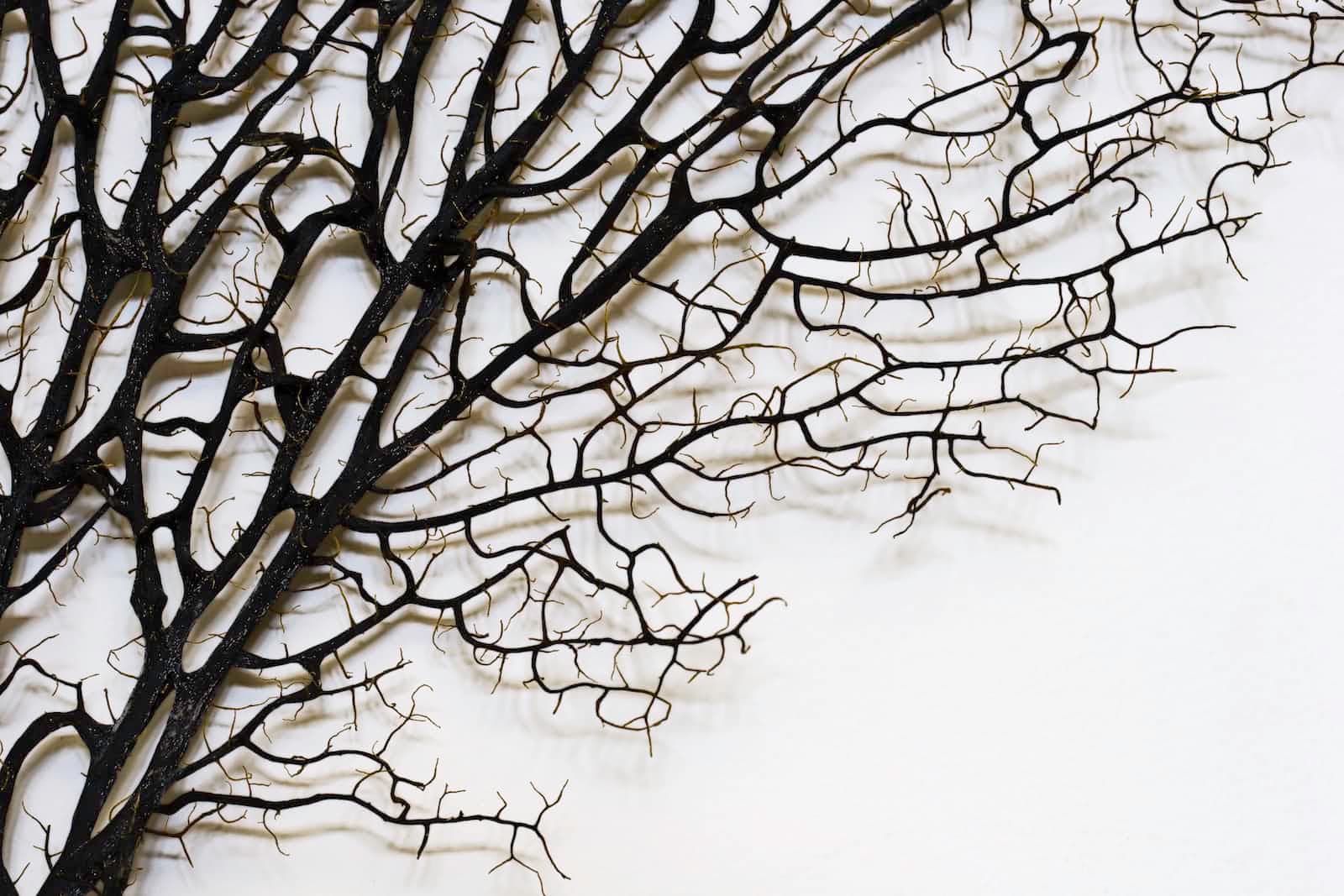 GitHub Branching and Merging